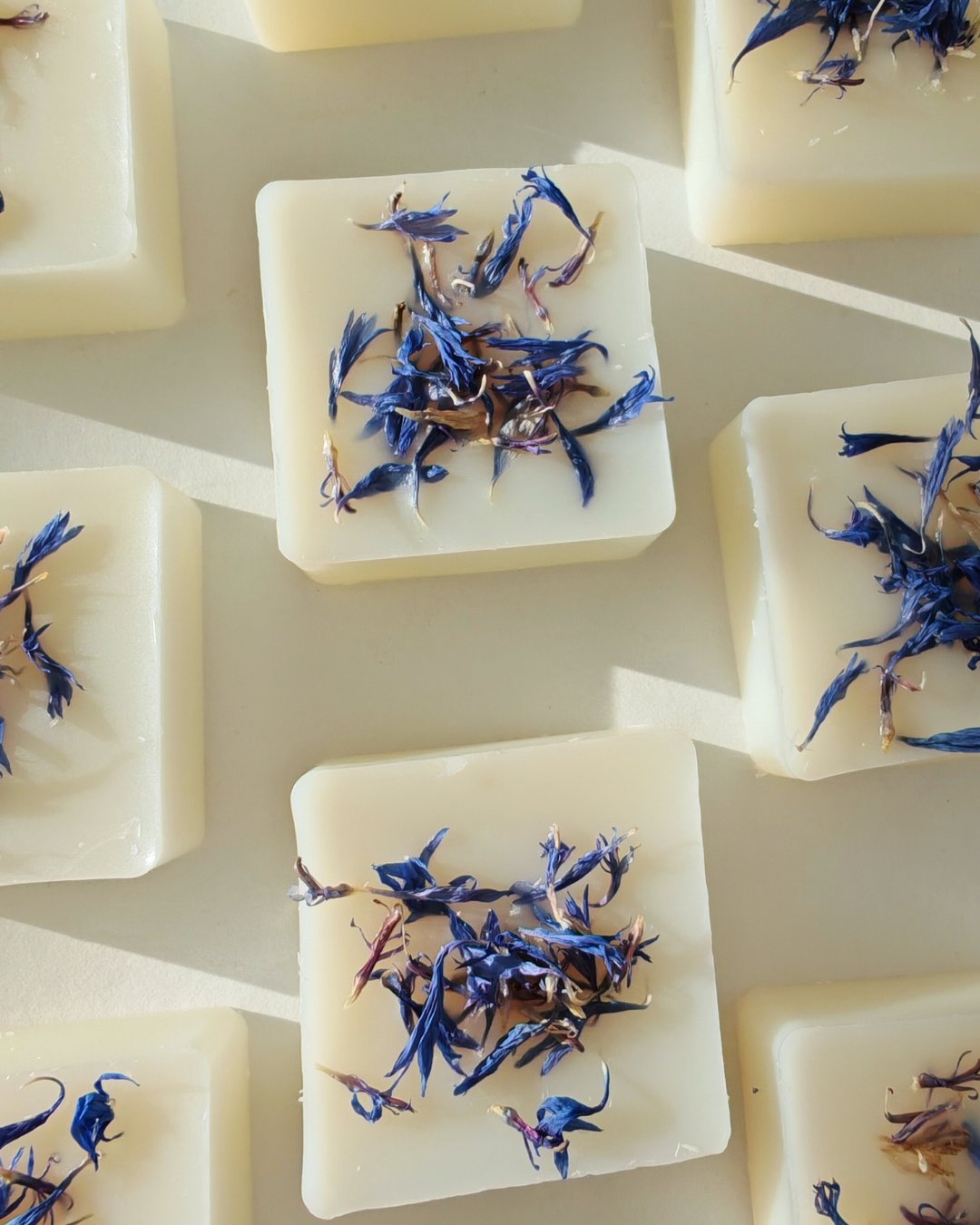 Set da 9 Praline botaniche (wax melt) in cera cera di oliva ai Cristalli di Sale, con petali di fiordaliso, ideali per il brucia essenze.