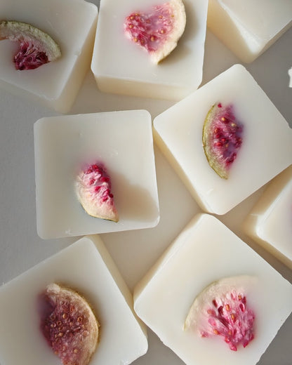 Set da 9 Praline botaniche (wax melt) in cera cera di oliva al Sandalo & Fico, con fico essiccato, ideali per il brucia essenze.