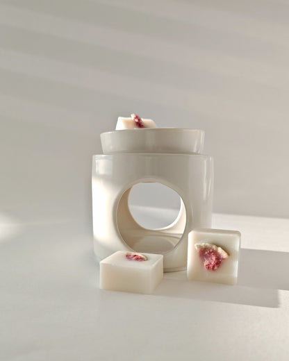 Set da 9 Praline botaniche (wax melt) in cera cera di oliva al Sandalo & Fico, con fico essiccato, ideali per il brucia essenze.