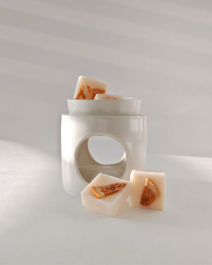 Set da 9 Praline botaniche (wax melt) in cera cera di oliva alla Zagara con arancia essiccata, ideali per il brucia essenze.